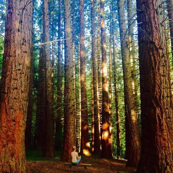 Meet your Posher, Nikka - Picture 1 of 1